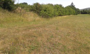20150722_163953