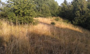 20150723_191503