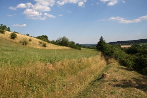 IMG_3706